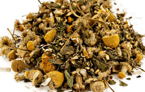 Camomile